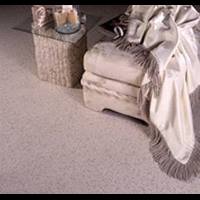marshall-carpet-one-mayfield-heights-oh-carpet-manufacturers-aladdin
