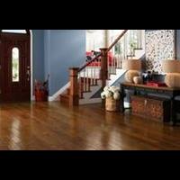 marshall-carpet-one-mayfield-heights-oh-hardwood-bamboo-cork-global-direct