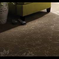 marshall-carpet-one-mayfield-heights-oh-carpet-manufacturers-anso